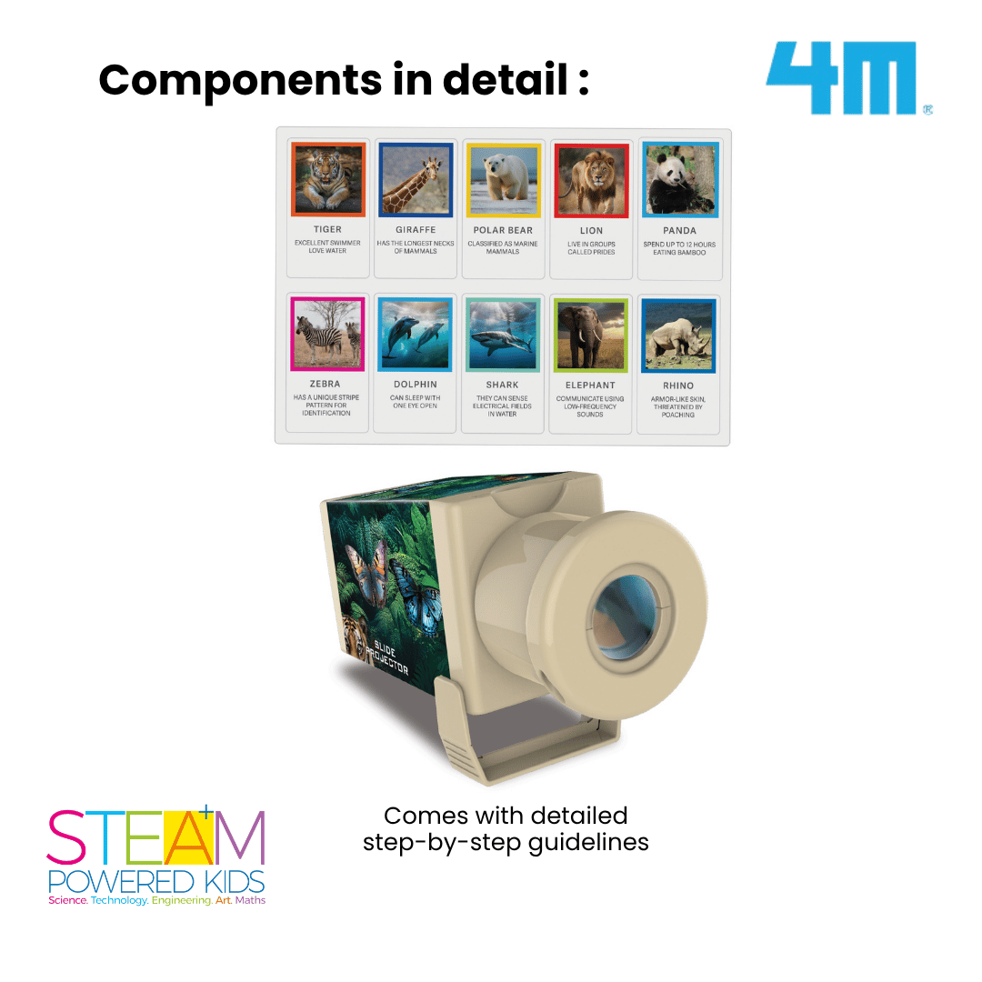 [NEW ARRIVAL] 4M KidzLabs / Slide Projector / Wildlife Animals - STEAM Education Toys