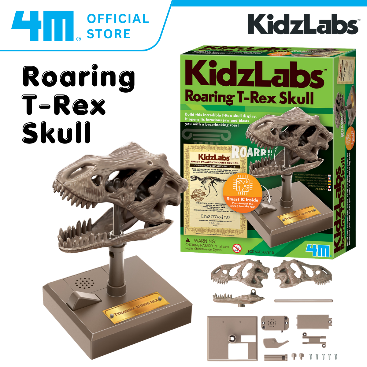 4M Steam Education Toys - KidzLabs / Roaring T-Rex Skull