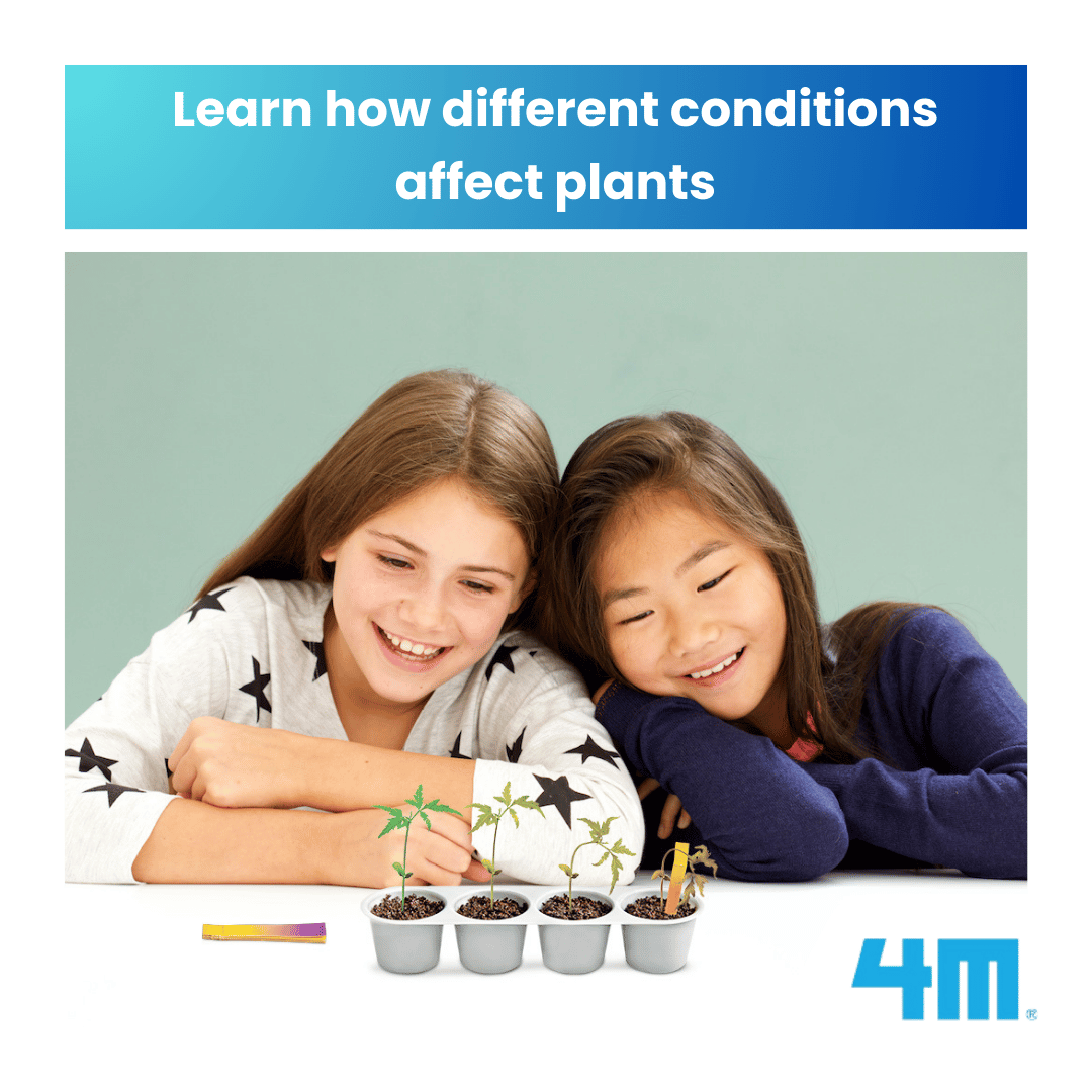 4M Green Science / Weather Science