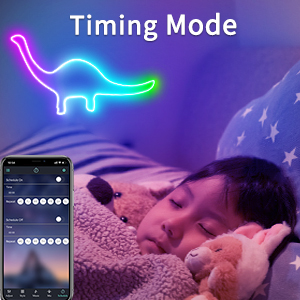 50FT Led Neon Strip Light Timing switch mode