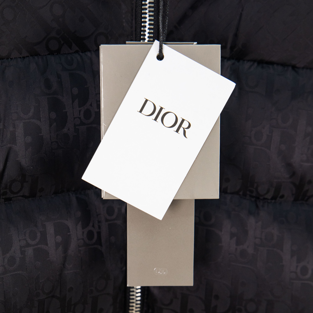 Dior 23FW Oblique monogrammed down jacket with stand-up collar