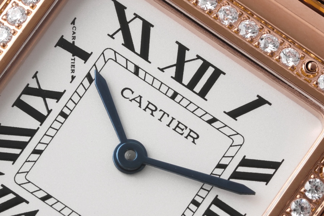 Cartier BV Panther