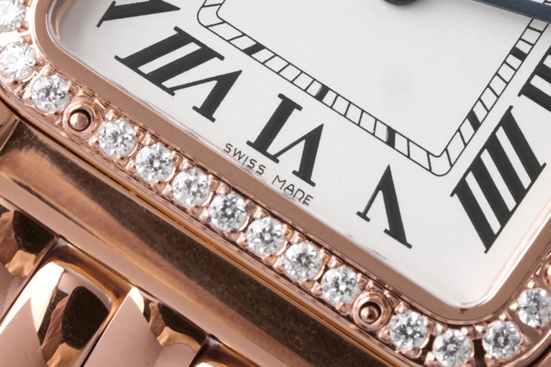 Cartier BV Panther