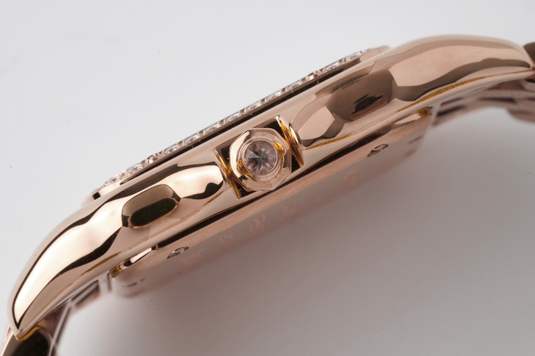 Cartier BV Panther