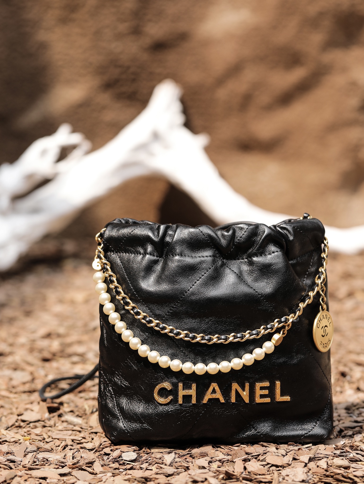 Chanel 22 Mini Pearl 23×18.5×6cm  99240