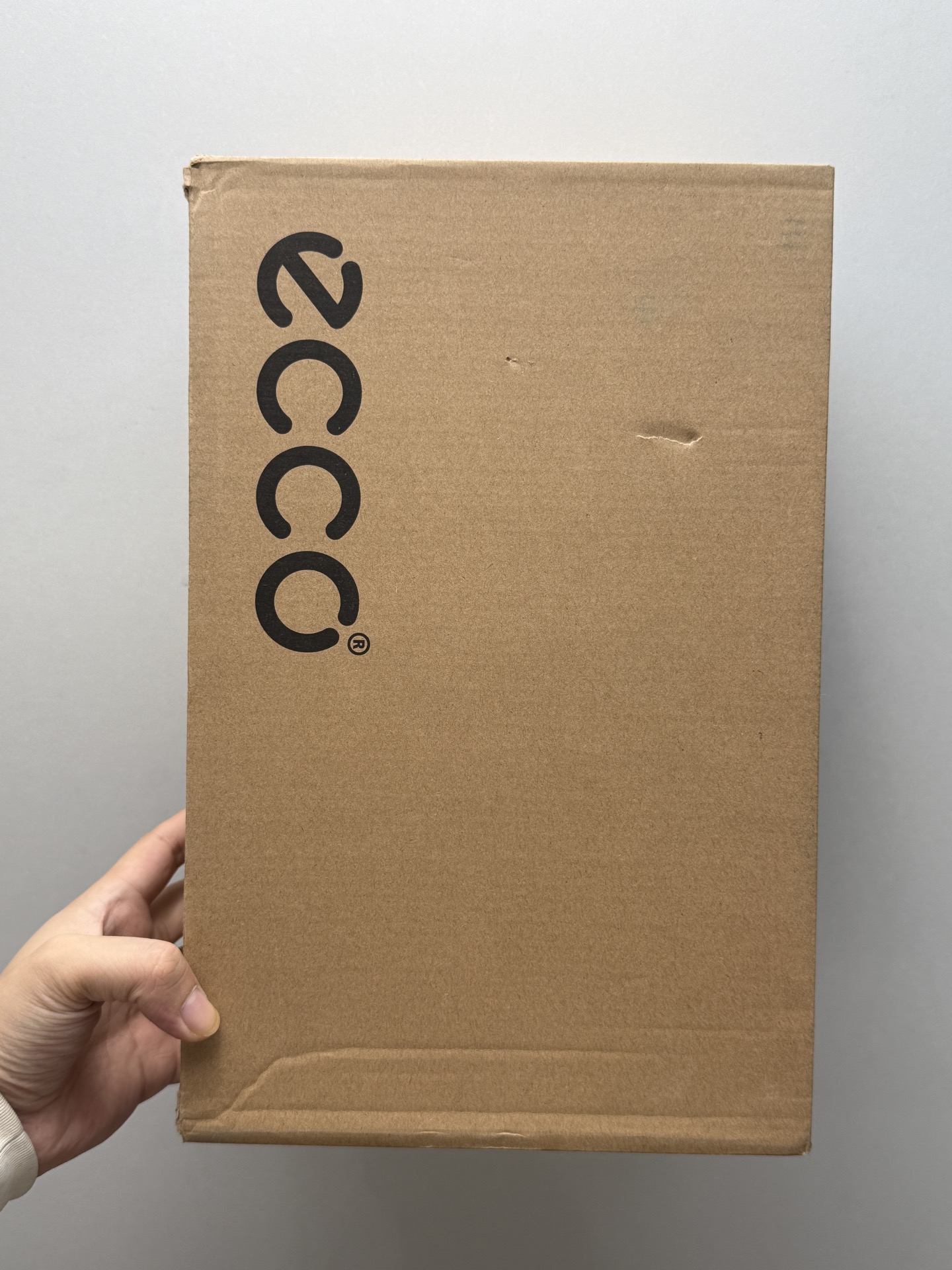 ecco BIOM C-Trail Comfortable and Stylish Running Shoes