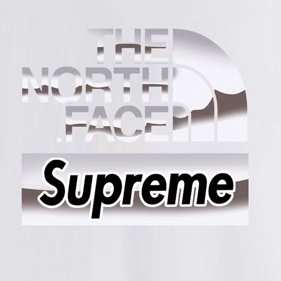 The North Face Co-Branded Printed Crew Neck Short-Sleeve T-Shirt - Relaxed Fit