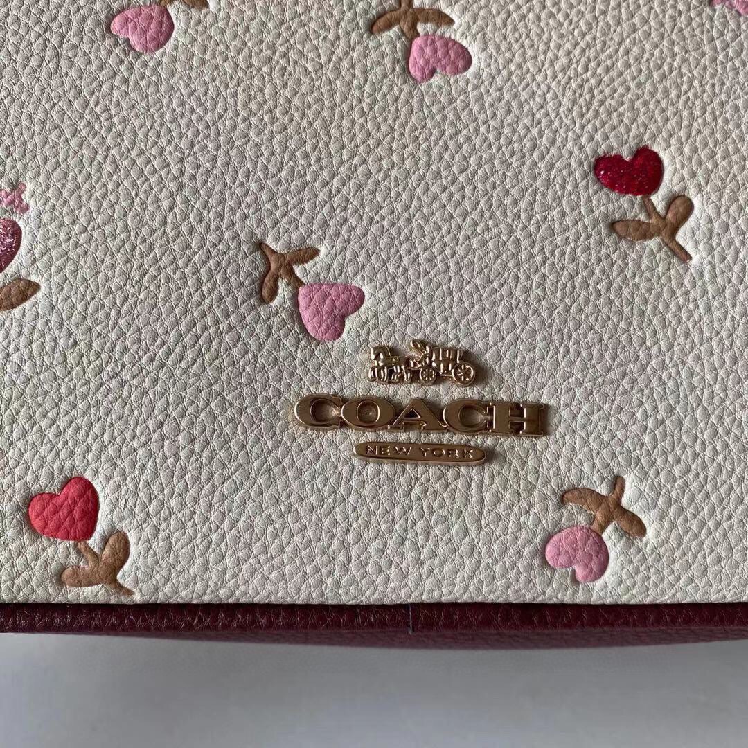 COACH New Valentine's Day Double-Zip Camera Bag 2835 Leather-Trimmed Version