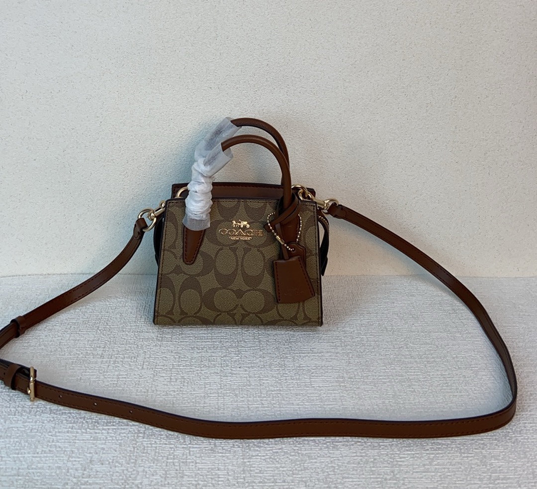 COACH Andrea Mini Top-Handle Crossbody Bag CO975
