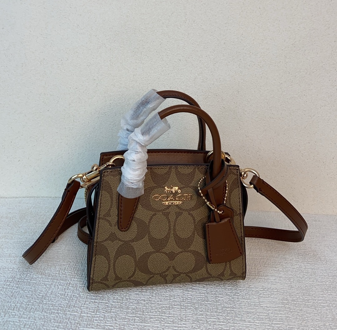 COACH Andrea Mini Top-Handle Crossbody Bag CO975