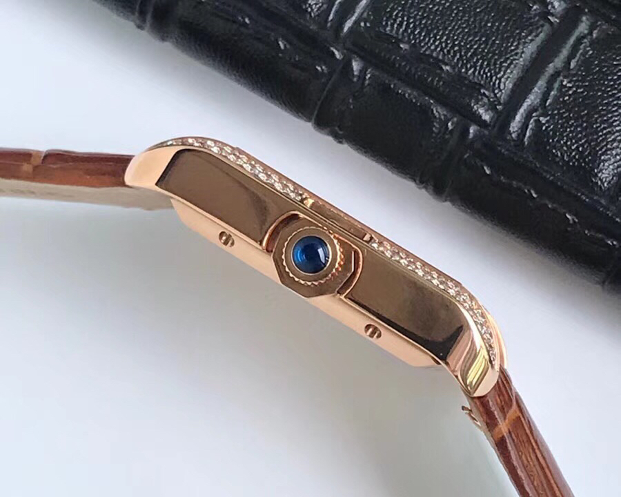 Cartier Tank Stardust Automatic 35mm × 11mm – 316L Steel Men’s Timepiece with Sapphire Crystal, Transparent Back & Superior Waterproof Build