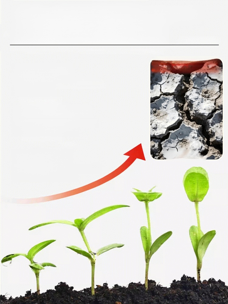 🌱บอกลาดินอัดแน่นและฟื้นฟูต้นไม้ของคุณ! 🌱 💪สารเร่งการเจริญเติบโตเพื่อฟื้นฟูต้นไม้ของคุณ! 💪 🌿ดินร่วนซุย ช่วยให้รากหายใจได้อย่างอิส