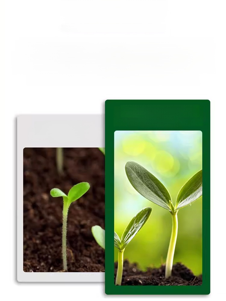 🌱บอกลาดินอัดแน่นและฟื้นฟูต้นไม้ของคุณ! 🌱 💪สารเร่งการเจริญเติบโตเพื่อฟื้นฟูต้นไม้ของคุณ! 💪 🌿ดินร่วนซุย ช่วยให้รากหายใจได้อย่างอิส