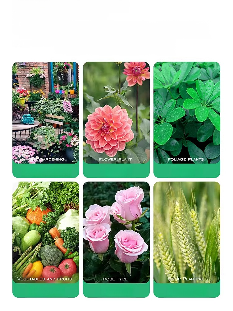 🌱บอกลาดินอัดแน่นและฟื้นฟูต้นไม้ของคุณ! 🌱 💪สารเร่งการเจริญเติบโตเพื่อฟื้นฟูต้นไม้ของคุณ! 💪 🌿ดินร่วนซุย ช่วยให้รากหายใจได้อย่างอิส