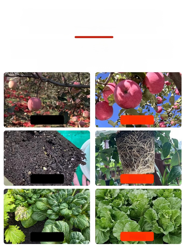 🌱บอกลาดินอัดแน่นและฟื้นฟูต้นไม้ของคุณ! 🌱 💪สารเร่งการเจริญเติบโตเพื่อฟื้นฟูต้นไม้ของคุณ! 💪 🌿ดินร่วนซุย ช่วยให้รากหายใจได้อย่างอิส