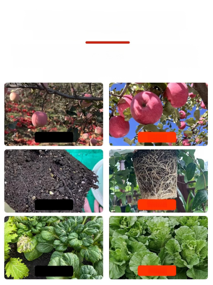 🌱บอกลาดินอัดแน่นและฟื้นฟูต้นไม้ของคุณ! 🌱 💪สารเร่งการเจริญเติบโตเพื่อฟื้นฟูต้นไม้ของคุณ! 💪 🌿ดินร่วนซุย ช่วยให้รากหายใจได้อย่างอิส