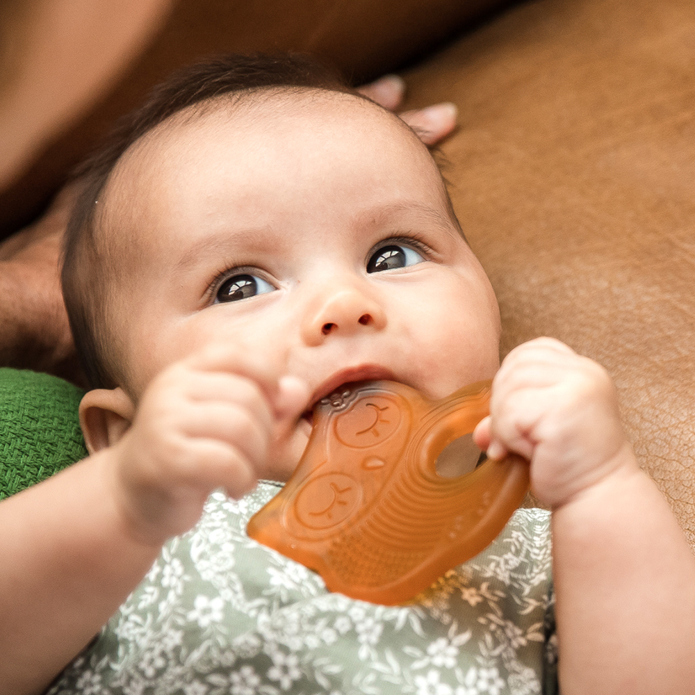 Haakaa Silicone Owl Teether Safe Natural Rubber Soft Teether Soothing Teething Relief