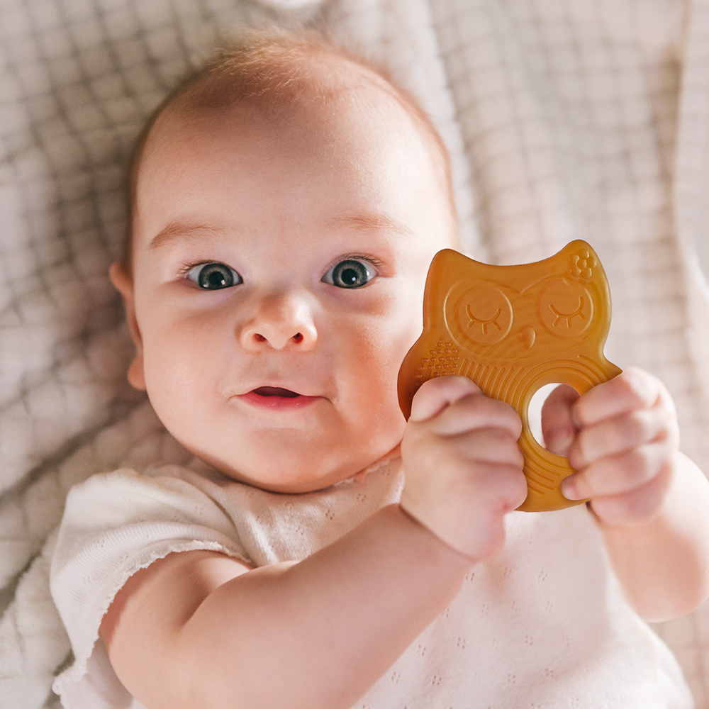 Haakaa Silicone Owl Teether Safe Natural Rubber Soft Teether Soothing Teething Relief