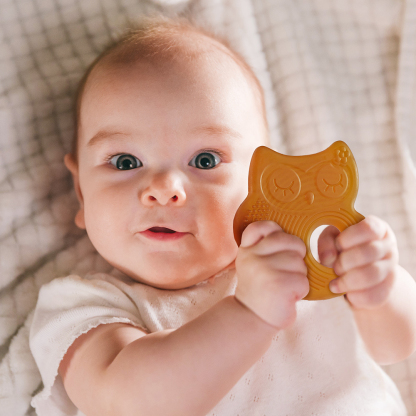 Haakaa Silicone Owl Teether Safe Natural Rubber Soft Teether Soothing Teething Relief