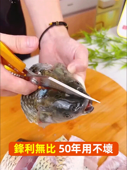 多功能不銹鋼大頭剪