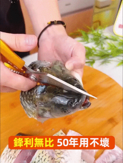 多功能不銹鋼大頭剪
