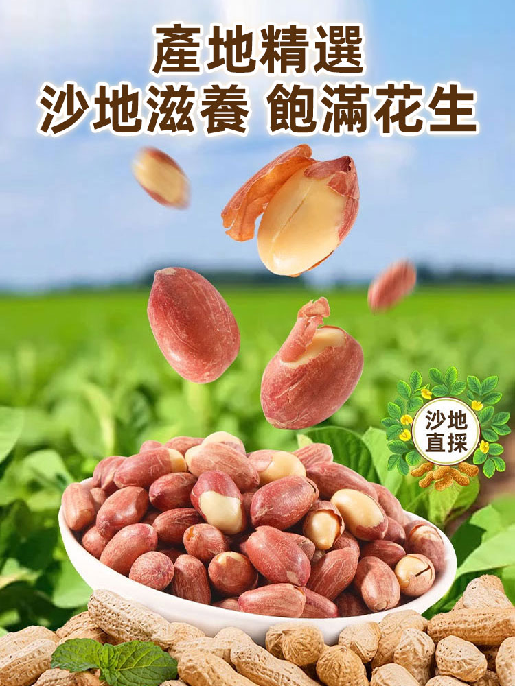 五香黃耆黨參烤花生