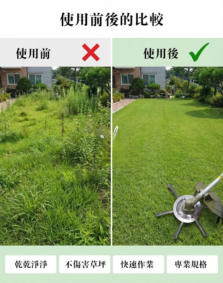 未标题-6.jpg
