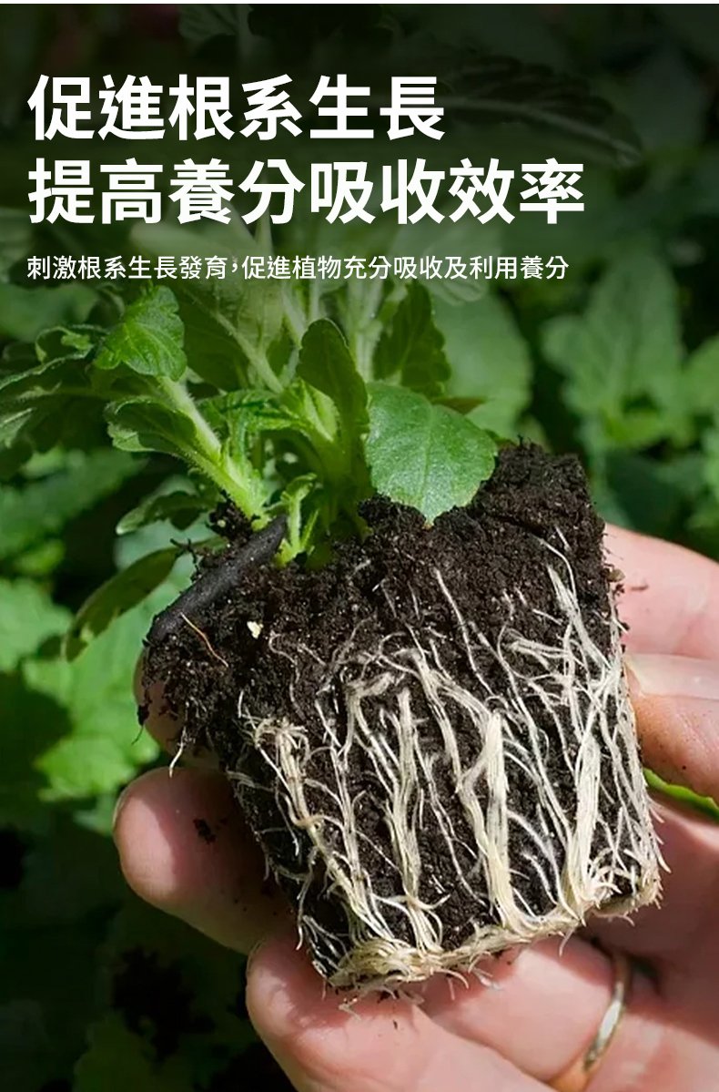 翻译件-SL-授粉座果王-1348259-系统_10.jpg