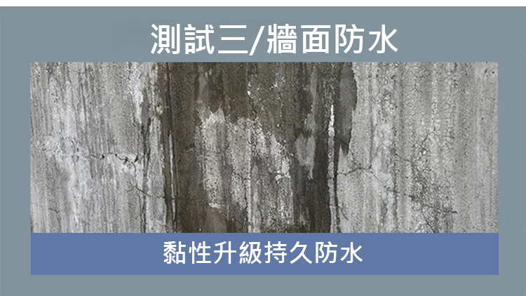 翻译件-JS-【质保100年】透明防水神器-1174149-系统_33.jpg