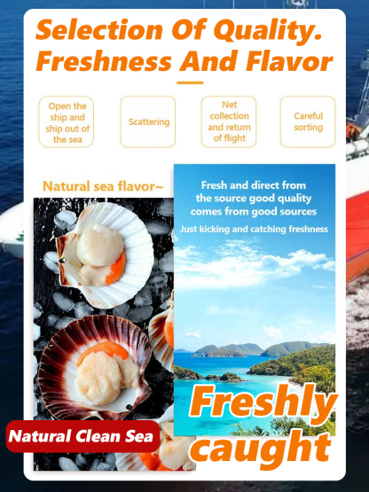 ✨🥰✅Freshly Caught Spicy Garlic Scallops (Canned)