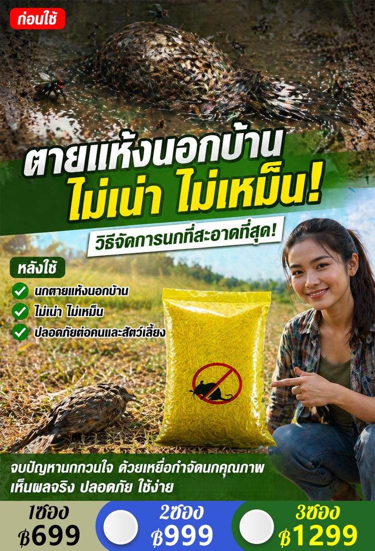 【ไร้นกหมื่นเมตร】เหยื่อล่อนก