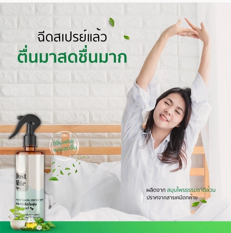 【ผลลัพธ์ชัดเจน สิ่งที่ต้องมีสำหรับทุกครอบครัว! 】สเปรย์กำจัดไรฝุ่น