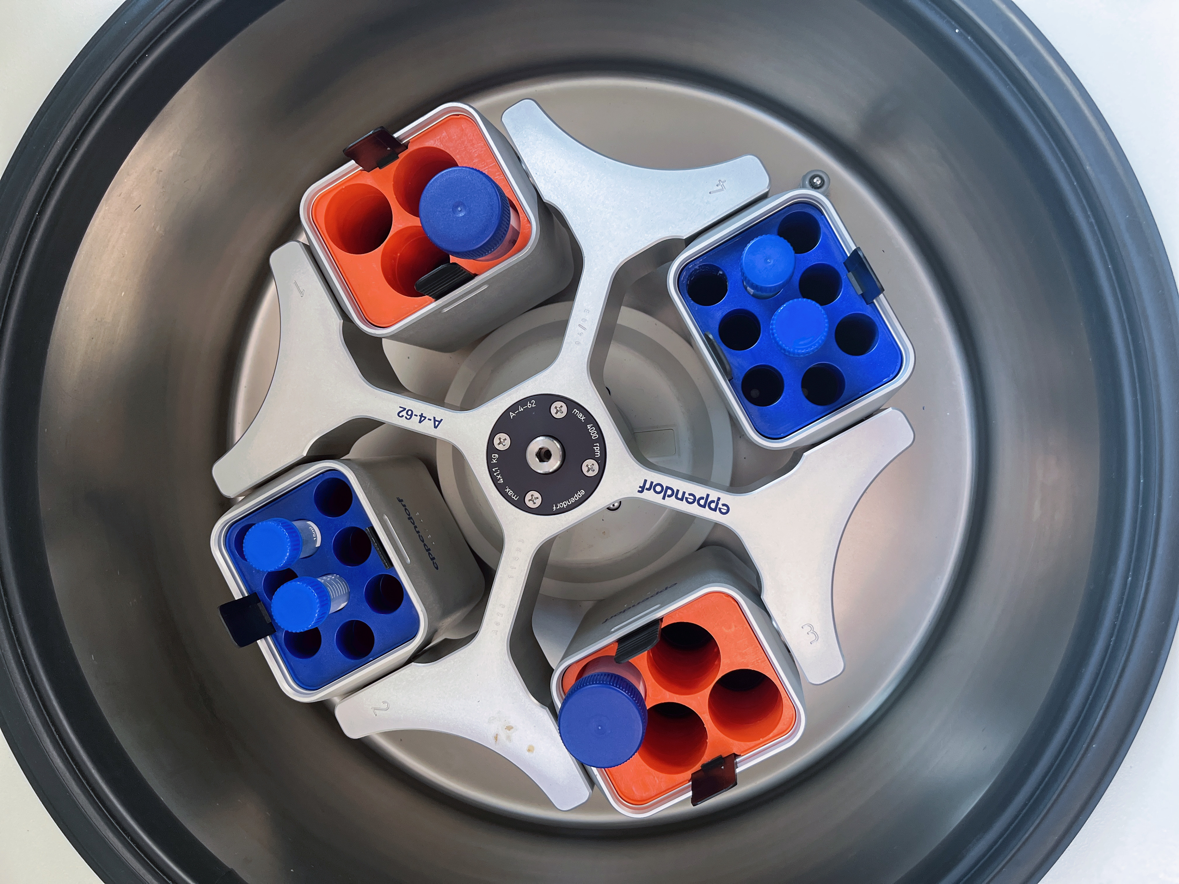 250ml Centrifuge Adapter