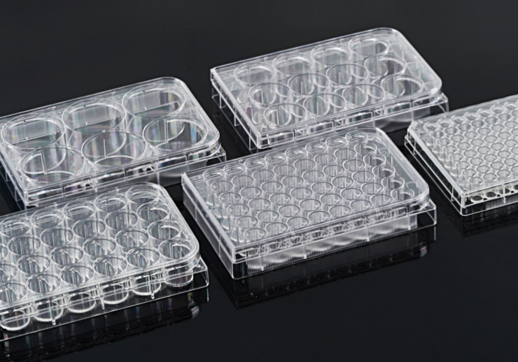 CELL CULTURE PLATE