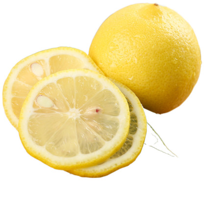 Wholesale Premium Fresh Lemons from Vietnam 100% Natural Top Quality & Attractive Agriculture Prices Available