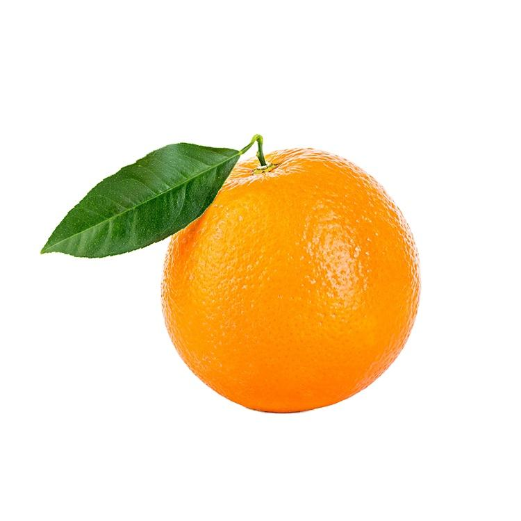 New Crop of Fresh Citrus Fruit Navel Orange Mandarin Orange Fruit for Wholesale