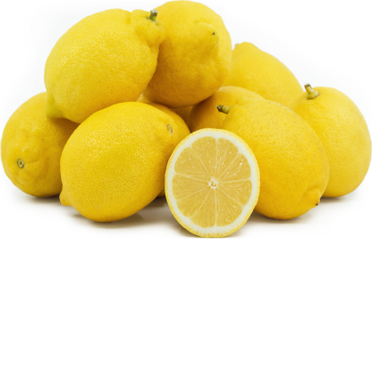 100% Fresh Lemon Fruit Premium Quality Citrus Fruit