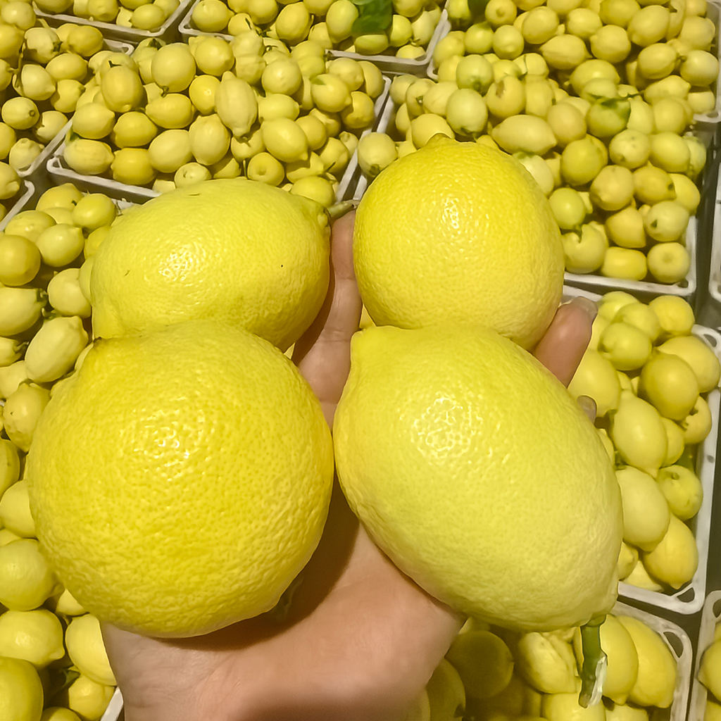 Fresh Lemon Fruit Rich in Vitamin C Healthy Juice for Cooking and Beverages Natural Flavor Hot New Products