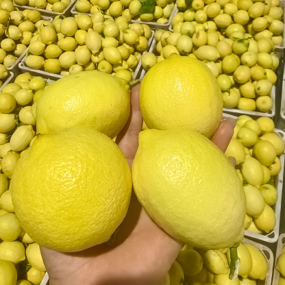 Fresh Lemon Fruit Rich in Vitamin C Healthy Juice for Cooking and Beverages Natural Flavor Hot New Products