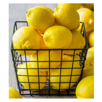 Hot Season Sales Fresh Lemon And Fresh Lime Lemons Oranges Fresh Yellow Lemon