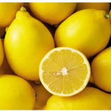 Fresh Lemon Fruit Citrus Fruit Style Fresh