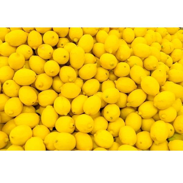 Fresh Lemon Fruit Citrus Fruit Style Fresh
