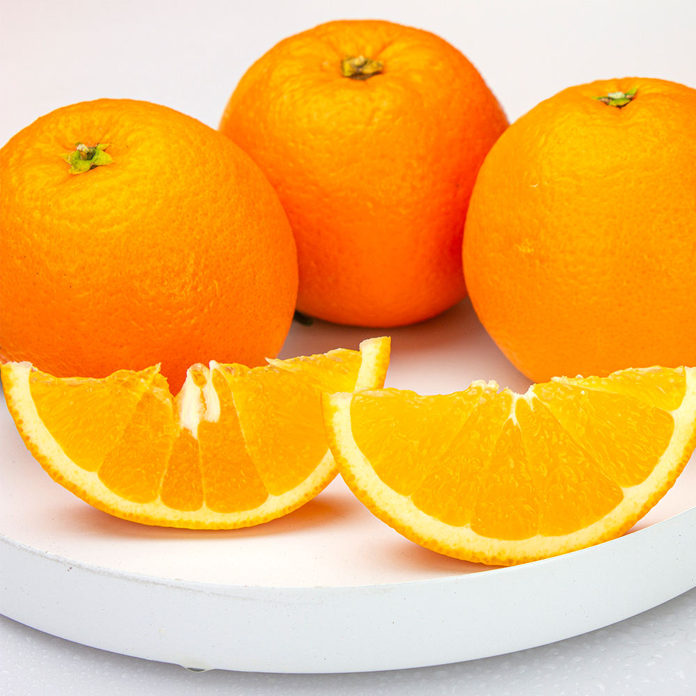 Fresh Citrus Fruit Navel Orange Mandarin Orange Fruit for Wholesale