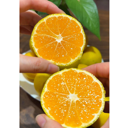 New Crop Fresh Naval Orange Sweet Fruit Orange Fresh Mandarin Orange