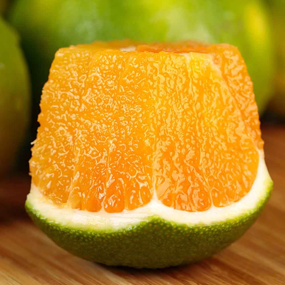 Rich in Vitamin C New Fresh Orange Fresh Fruit Specific Direct Sales From Origin