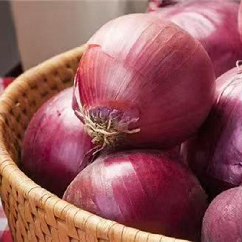 2025 New Crop of Fresh Red Onions White Price Per Ton in China From Onion Exporter