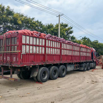 2025 New Crop of Fresh Red Onions White Price Per Ton in China From Onion Exporter