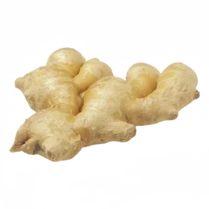 Ginger China Export Quality Organic Ginger Certification 150g and up Bulk Fresh Organic Ginger