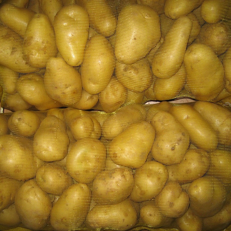 New Harvest Fresh Potato