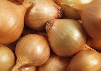 China Exporters Wholesale Price Yellow Onion Agriculture Supplier Fresh Red Onion for Sale